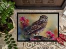 Burrowing Owl Doormat Front Door Mat Indoor Outdoor Rugs for Entryway, Non Slip Washable Low Pile, 24H X 36W