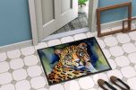 Leopard Doormat Front Door Mat Indoor Outdoor Rugs for Entryway, Non Slip Washable Low Pile, 24H X 36W