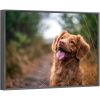 Custom Canvas Prints With Your Photos for Pet Family Photo Prints Personalized Canvas Aluminum Alloy Framed Wall Art