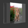 Custom Canvas Prints With Your Photos for Pet Family Photo Prints Personalized Canvas Aluminum Alloy Framed Wall Art